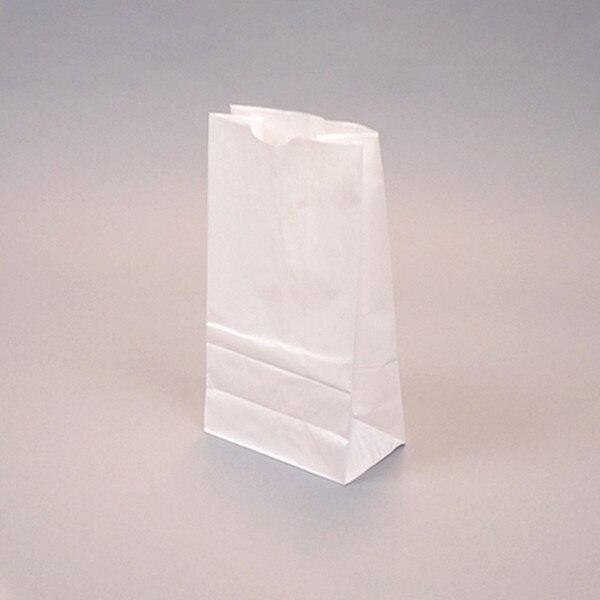 6 lb. White Kraft Paper Bakery Bags